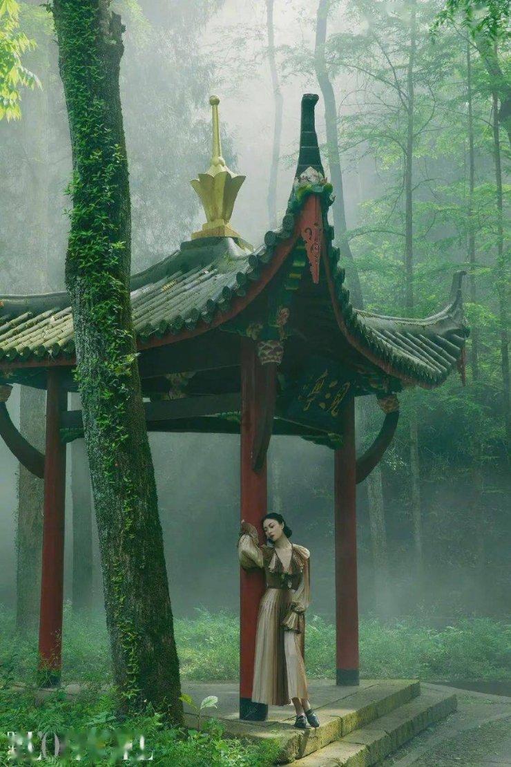 集装箱货运船