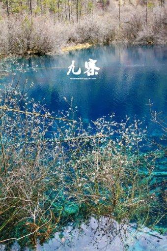 古埃及来找茬