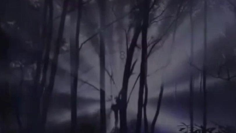 万词王