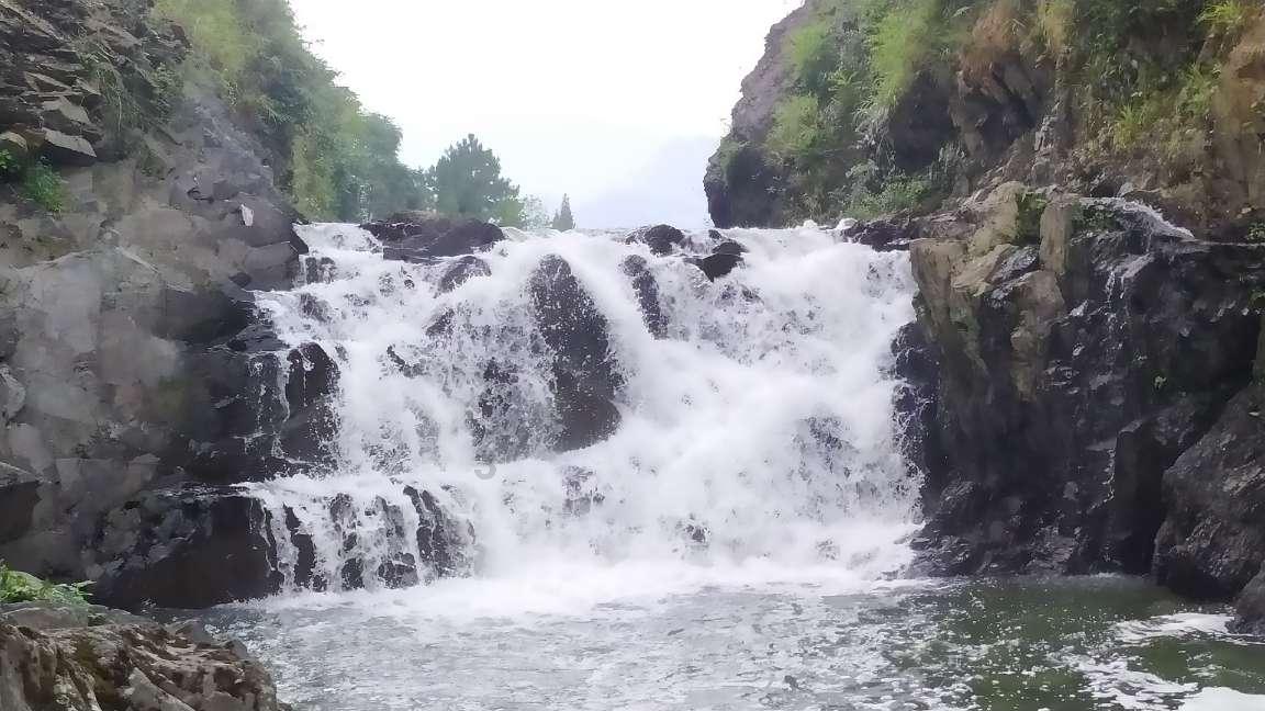 救援卡通熊仔