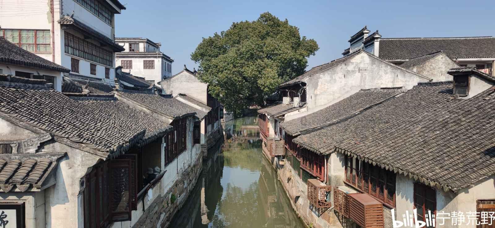 探探猫历险记2