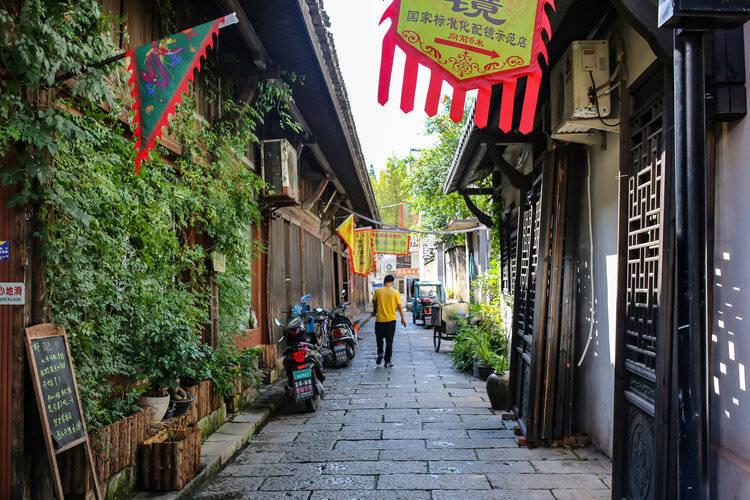 虫虫助手下载