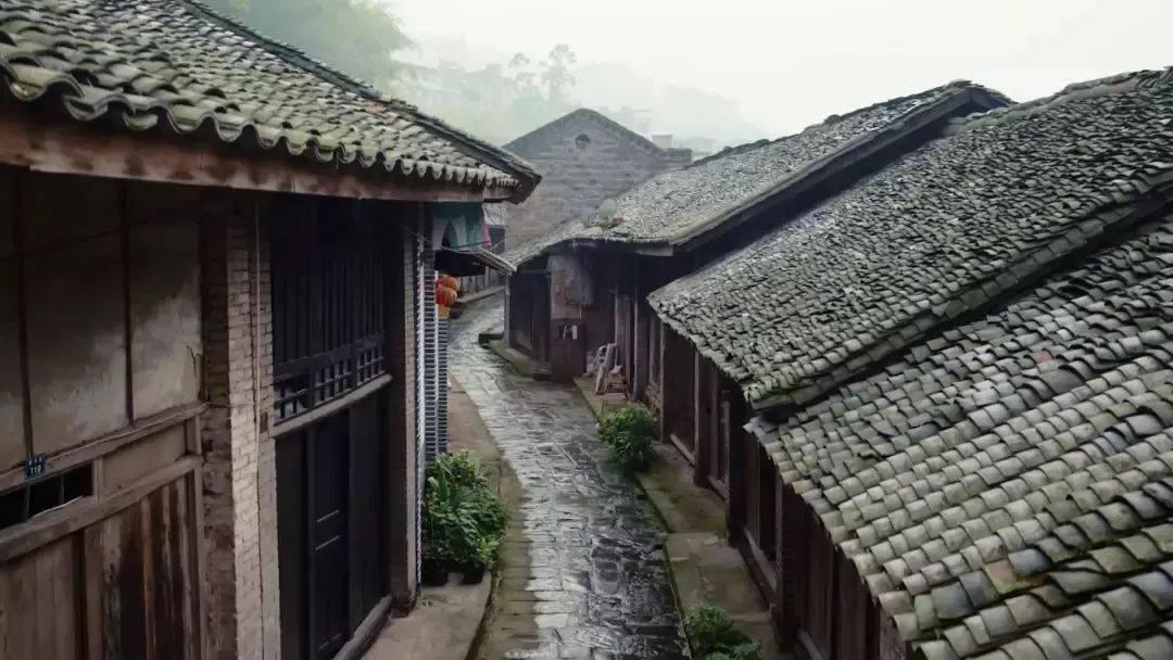 先赢不是赢！英伟达和ChatGPT还能垄断AI多久？